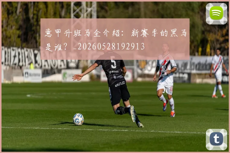 意甲升班马全介绍：新赛季的黑马是谁？_20260528192913