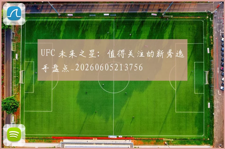 UFC 未来之星：值得关注的新秀选手盘点_20260605213756
