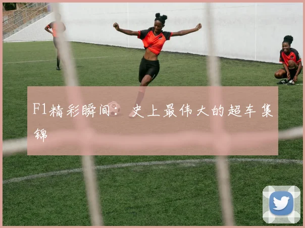 F1精彩瞬间：史上最伟大的超车集锦
