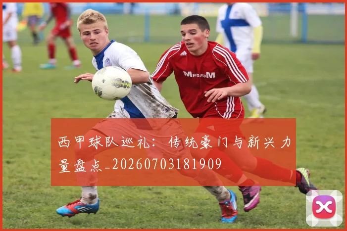 西甲球队巡礼：传统豪门与新兴力量盘点_20260703181909